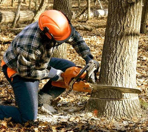 Tree Removal in Russell, KS